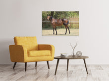 Load image into Gallery viewer, Canvas print Magnificent thoroughbred
