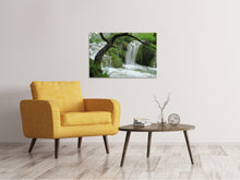 Load image into Gallery viewer, Canvas print In the national park
