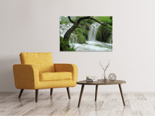 Load image into Gallery viewer, Canvas print In the national park

