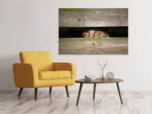 Load image into Gallery viewer, Canvas print Cat in hiding
