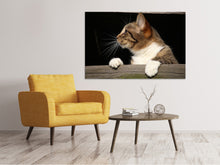 Load image into Gallery viewer, Canvas print XL cat
