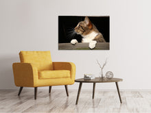 Load image into Gallery viewer, Canvas print XL cat
