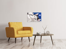 Load image into Gallery viewer, Canvas print Sweet kitten
