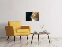 Load image into Gallery viewer, Canvas print Kitten nose
