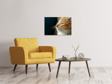 Load image into Gallery viewer, Canvas print Kitten nose
