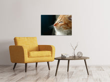 Load image into Gallery viewer, Canvas print Kitten nose
