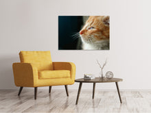 Load image into Gallery viewer, Canvas print Kitten nose

