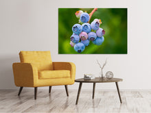 Load image into Gallery viewer, Canvas print Blueberries in nature
