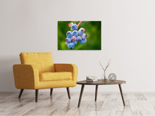 Load image into Gallery viewer, Canvas print Blueberries in nature
