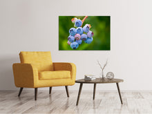 Load image into Gallery viewer, Canvas print Blueberries in nature
