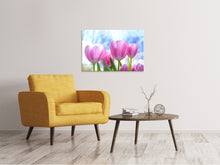 Load image into Gallery viewer, Canvas print Tulips in nature

