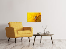 Load image into Gallery viewer, Canvas print Bee on the sunflower
