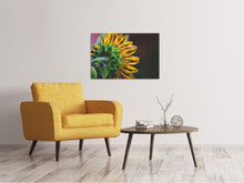 Load image into Gallery viewer, Canvas print Sunflower Close up
