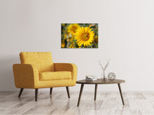Load image into Gallery viewer, Canvas print Bees at work
