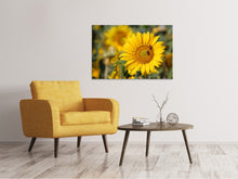 Load image into Gallery viewer, Canvas print Bees at work
