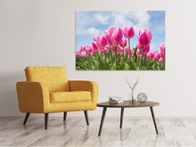 Load image into Gallery viewer, Canvas print Tulip field in pink
