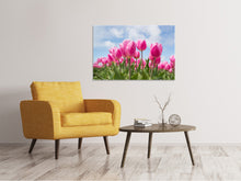 Load image into Gallery viewer, Canvas print Tulip field in pink
