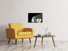 Load image into Gallery viewer, Canvas print Astronaut at work

