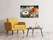 Load image into Gallery viewer, Canvas print Daisies XL
