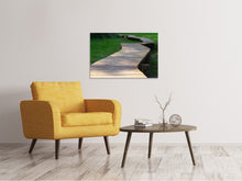 Load image into Gallery viewer, Canvas print The path in the park
