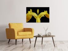 Load image into Gallery viewer, Canvas print The swamp iris
