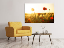 Load image into Gallery viewer, Canvas print Poppy in the sunset
