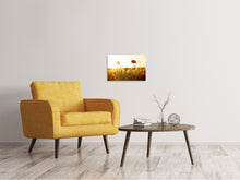 Load image into Gallery viewer, Canvas print Poppy in the sunset
