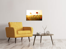 Load image into Gallery viewer, Canvas print Poppy in the sunset
