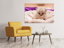 Load image into Gallery viewer, Canvas print Kitten to fall in love
