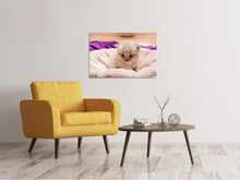 Load image into Gallery viewer, Canvas print Kitten to fall in love
