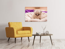Load image into Gallery viewer, Canvas print Kitten to fall in love
