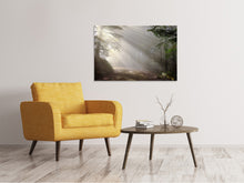 Load image into Gallery viewer, Canvas print Mystical light in the forest
