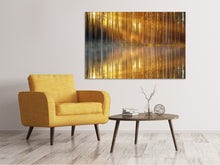 Load image into Gallery viewer, Canvas print Romantic mood in the forest
