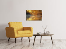 Load image into Gallery viewer, Canvas print Romantic mood in the forest
