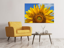 Load image into Gallery viewer, Canvas print Sunflower in XXL
