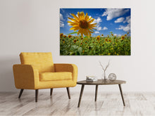 Load image into Gallery viewer, Canvas print A sunflower among many

