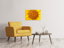 Load image into Gallery viewer, Canvas print Beautiful buds of the sunflower
