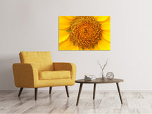 Load image into Gallery viewer, Canvas print Beautiful buds of the sunflower
