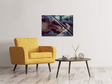 Load image into Gallery viewer, Canvas print violin
