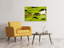 Load image into Gallery viewer, Canvas print The frog and the water lily

