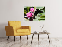 Load image into Gallery viewer, Canvas print The frog in the protection of water lilies
