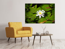 Load image into Gallery viewer, Canvas print The white water lily
