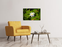 Load image into Gallery viewer, Canvas print The white water lily
