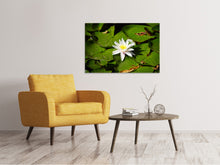 Load image into Gallery viewer, Canvas print The white water lily
