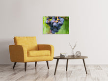 Load image into Gallery viewer, Canvas print grapes
