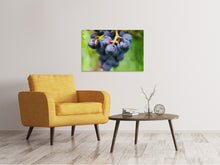 Load image into Gallery viewer, Canvas print grapes
