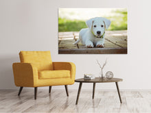 Load image into Gallery viewer, Canvas print Cute dog baby
