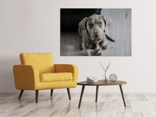 Load image into Gallery viewer, Canvas print The Weimaraner
