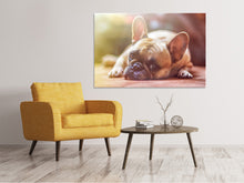 Load image into Gallery viewer, Canvas print Tired bulldog
