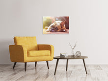 Load image into Gallery viewer, Canvas print Tired bulldog
